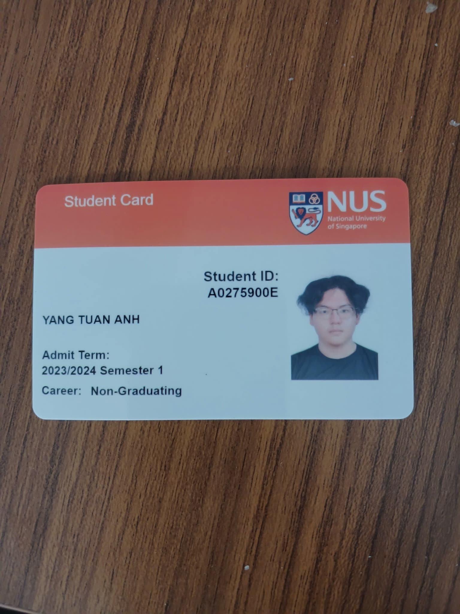 All Hail the Bell Curve God, A DiscoverNUS Course Review