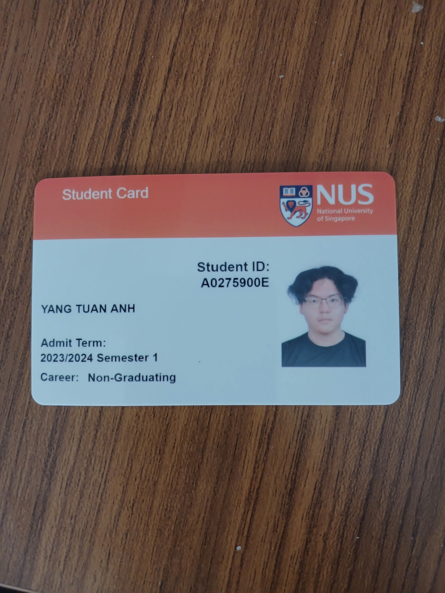 All Hail the Bell Curve God, A DiscoverNUS Course Review
